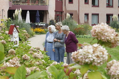 Wandeling in de tuin